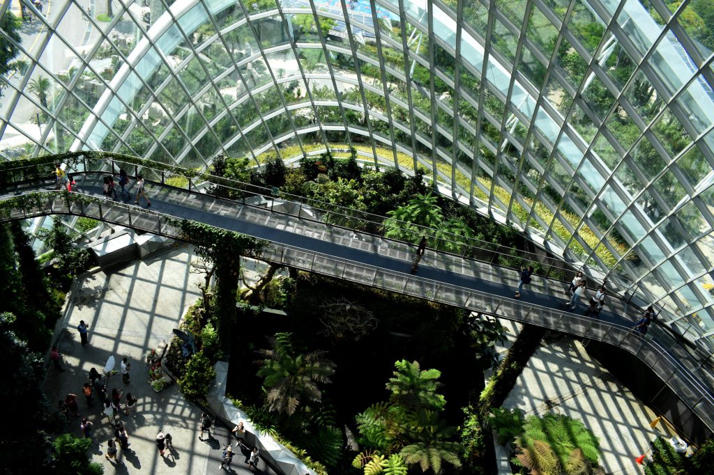 Blick von oben in Glashaus mit vielen Pflanzen im Innen- und Außenbereich