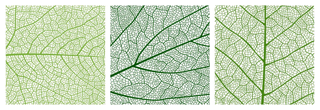 Durchbruch in der Mikrofluidik: bioinspiriertes Design